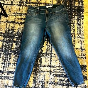 Torrid Denim Jeggings